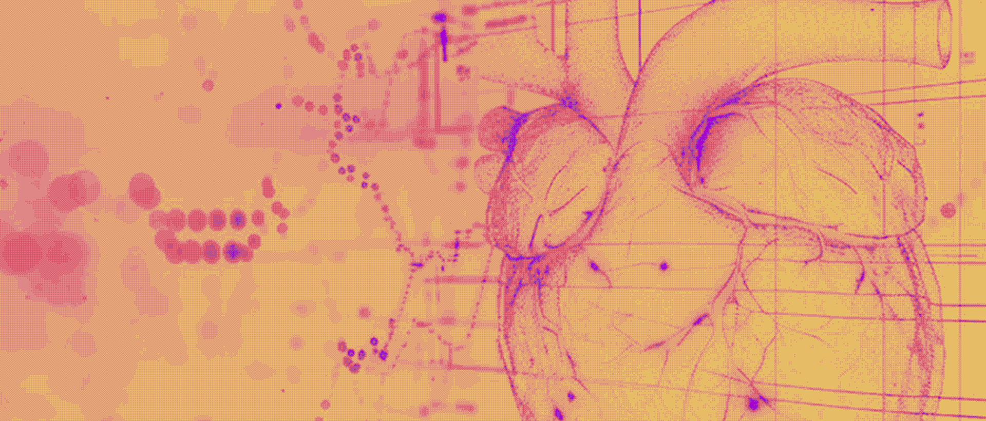 Chamber Cardio and the power of developer experience